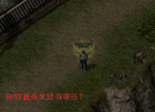 BOSS��ɱ��������Щ��