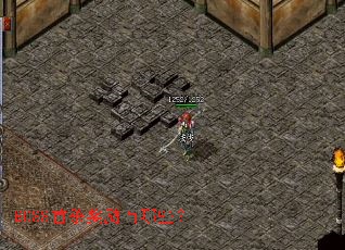 BOSS��ɱ��������Щ��