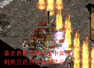 �������δ���˽����������ð�ҩϵͳ�ϳ�ҩƷ��