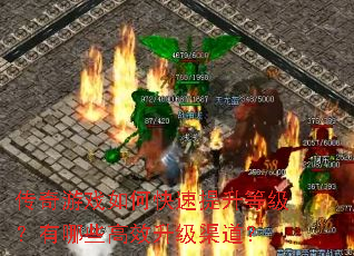 ������Ϸ��ο��������ȼ�������Щ��Ч����������