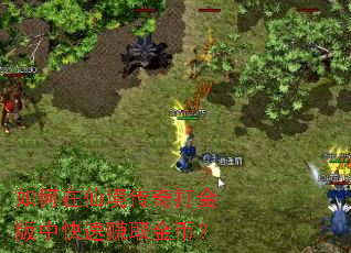 ������ɾ���������п���׬ȡ��ң�