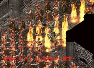 ��Ѫ�������ַ�����ѡ�ĸ�������