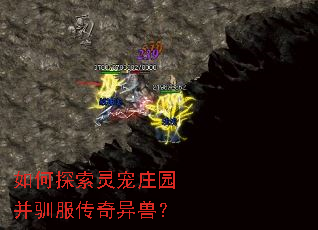 如何探索灵宠庄园并驯服传奇异兽? 如何探索灵宠庄园并驯服传奇异兽?