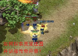 如何探索灵宠庄园并驯服传奇异兽? 如何探索灵宠庄园并驯服传奇异兽?