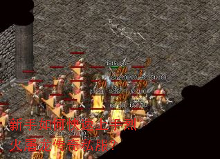 ������ο��������һ���������˽����