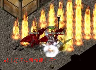 սʿ������ο������֣�