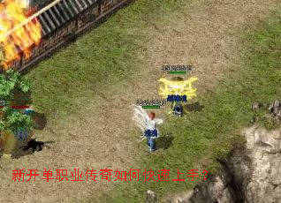 �¿���ְҵ������ο������֣�