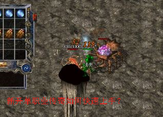 �¿���ְҵ������ο������֣�