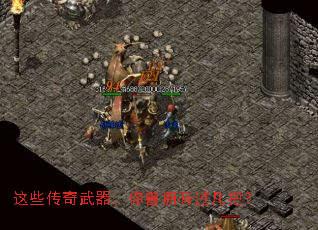 ��Щ��������������ӵ�й����ѣ�