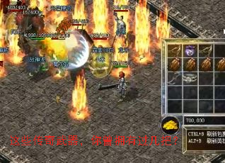 ��Щ��������������ӵ�й����ѣ�