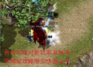 合击私服对新玩家友好吗?保姆级攻略带你快速上手 合击私服对新玩家友好吗?保姆级攻略带你快速上手