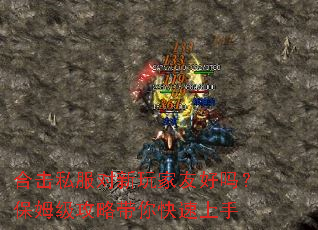 合击私服对新玩家友好吗?保姆级攻略带你快速上手 合击私服对新玩家友好吗?保姆级攻略带你快速上手