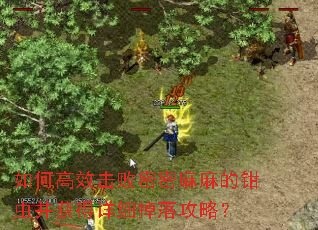 ��θ�Ч�������������ǯ�沢�����ϸ���乥�ԣ�