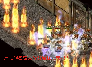 ʬħ���ܵ������ͨ��������