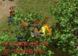 սʿ���Ӧ�Ե�ʿ������ʵս�������