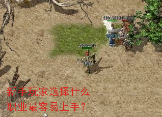 新手玩家选择什么职业最容易上手? 新手玩家选择什么职业最容易上手?