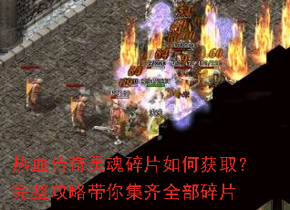 ��Ѫ���������Ƭ��λ�ȡ���������Դ��㼯��ȫ����Ƭ