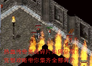 ��Ѫ���������Ƭ��λ�ȡ���������Դ��㼯��ȫ����Ƭ