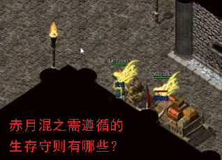 ���»�֮����ѭ��������������Щ��