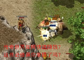 ����������ο���׬Ǯ����Щ���޿�����������