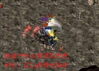 ��Ѫ���������ȡ�ϻ������ϸ����ȫ����