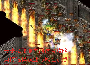 ����˽�����ŷ����Ź��ԣ����ѡ��ְҵ�����Լӵ㣿