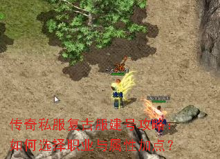 ����˽�����ŷ����Ź��ԣ����ѡ��ְҵ�����Լӵ㣿