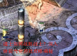 ��ʿ���սʤսʿ���������鴫����Ϸ���Խ���