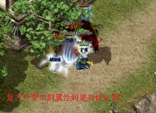 ���Ŵ����и����Ե�����ʲô�ã�