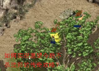 ���ʵ��Ը�����ɱ��ʦ�Ĵ��湥�ԣ�