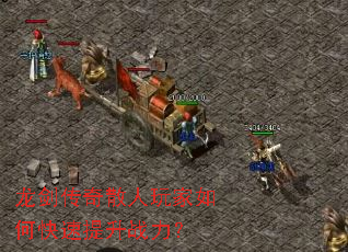 ��������ɢ�������ο�������ս����