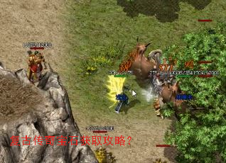 ���Ŵ��汦ʯ��ȡ���ԣ�