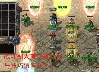 ս����������Щ�����뼼��ֵ�÷�����