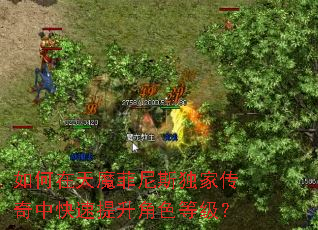 �������ħ����˹���Ҵ����п���������ɫ�ȼ���