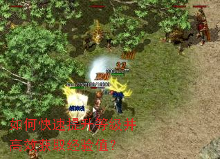 ��ο��������ȼ�����Ч��ȡ����ֵ��