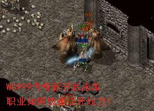 WG999�����¿�˽����ְҵ��ο�������ս����