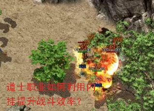 ��ʿְҵ��������ڹ�����ս��Ч�ʣ�