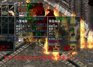 ���Ŵ�����������֩��ȥ����ץ��