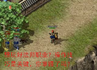 想玩好法师职业?操作技巧是关键,你掌握了吗? 想玩好法师职业?操作技巧是关键,你掌握了吗?