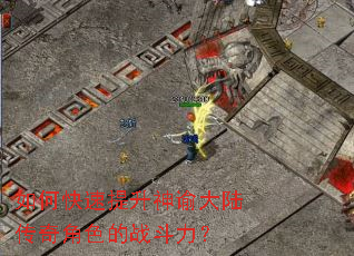 ��ο����������ʹ�½�����ɫ��ս������