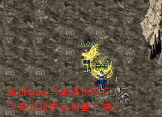 ����boss�뵥������ڴ�����Ϸ������Щ��ͬ��