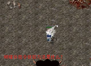 蝴蝶谷密令获取方法是什么? 蝴蝶谷密令获取方法是什么?