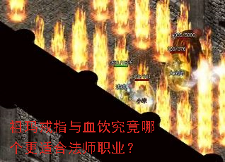 �����ָ��Ѫ�������ĸ����ʺϷ�ʦְҵ��