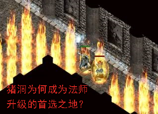 ����Ϊ�γ�Ϊ��ʦ��������ѡ֮�أ�