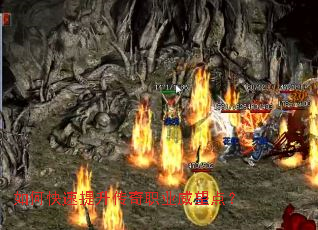 ��ο�����������ְҵ�����㣿