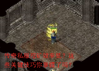 ����˽���ڿ�Ч�ʵͣ���Щ�ؼ���������������