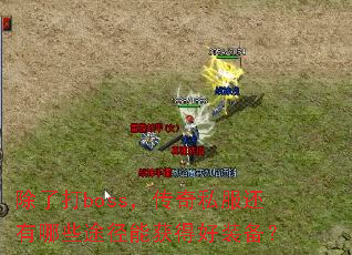 ���˴�boss������˽��������Щ;���ܻ�ú�װ����