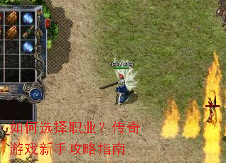 ���ѡ��ְҵ��������Ϸ���ֹ���ָ��