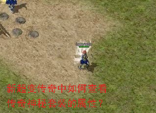 �³��䴫������β鿴����������װ�����ԣ�