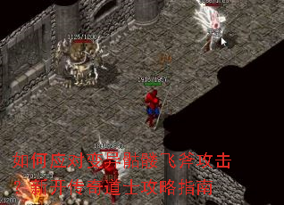 ���Ӧ�Ա������÷ɸ��������¿������ʿ����ָ��